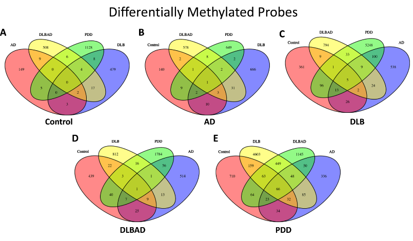 Differentially Methylated Probes