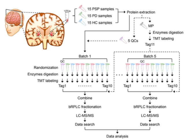 Mass spectrometry-based proteomics