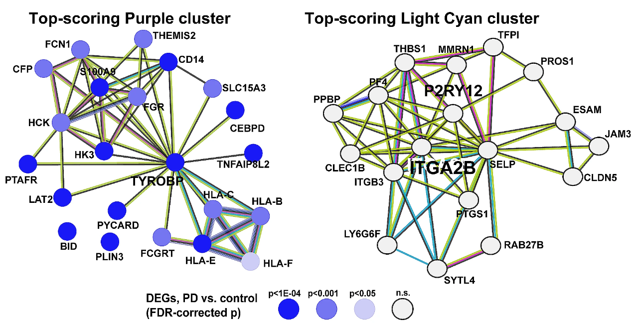 Single molecule array