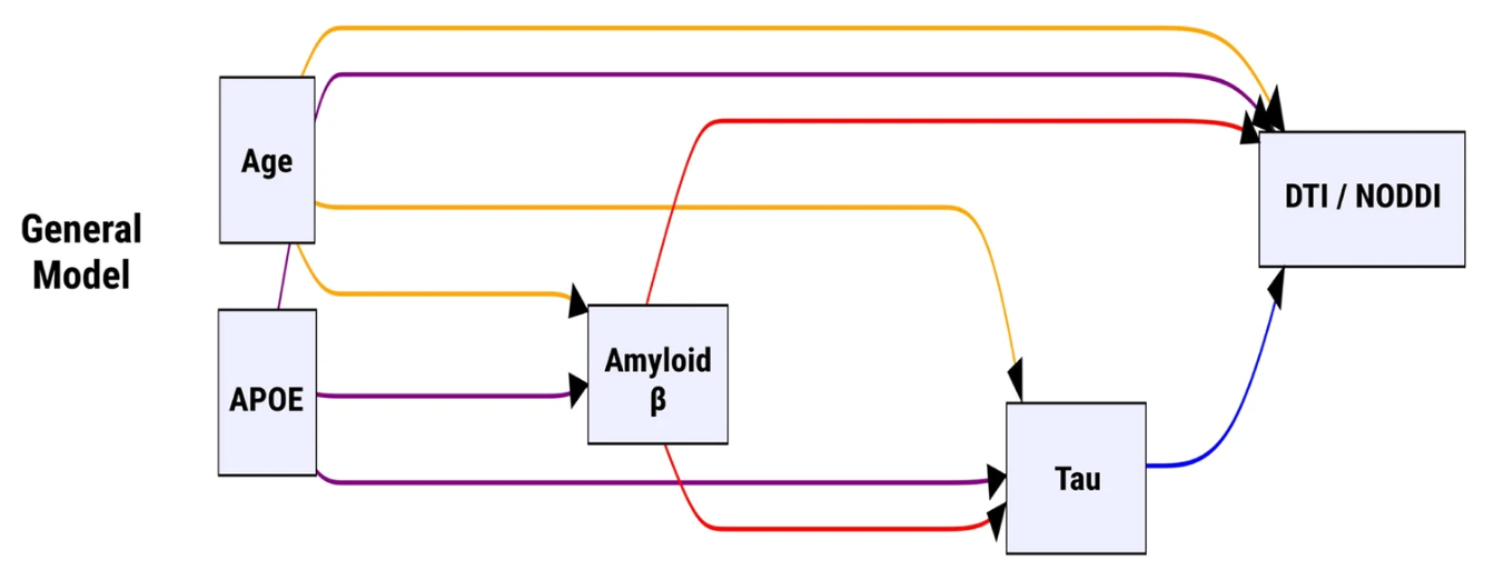 Influences of amyloid-B